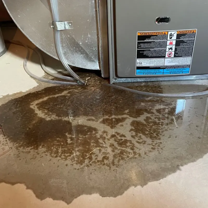 Pipe Burst and Leak Restoration in Yoakum County, TX