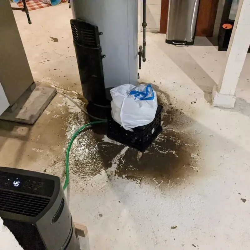 Sewage Backup Cleanup Service in Yoakum County, TX